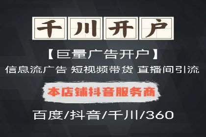 SEO策略在电商平台的成功应用案例